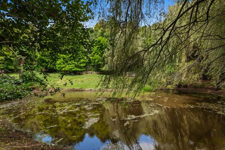 763b White Pine Bush Road Whakatane_19