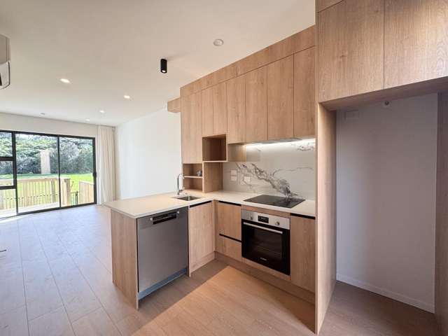 Brand new home in Massey!