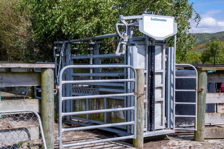 282 Woodside Road Geraldine_10