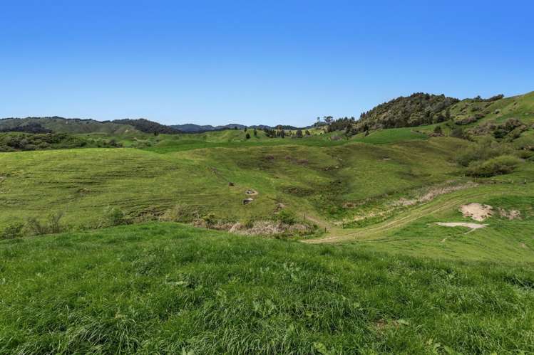 1794 State Highway 2 East Nukuhou_12