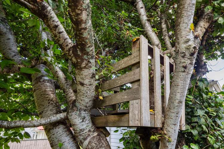 18 Vinter Terrace Mount Albert_19