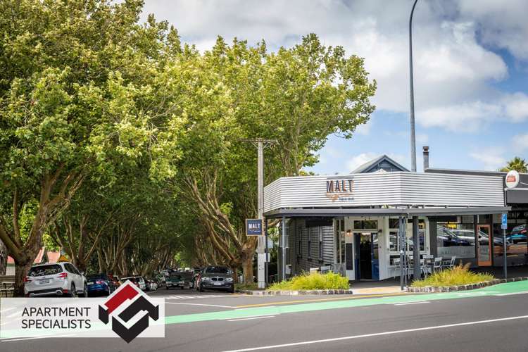 250 Richmond Grey Lynn_20