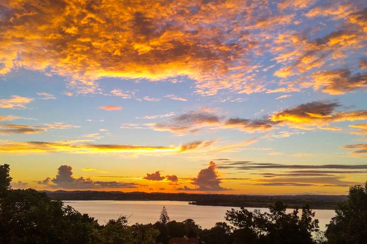 53 Island Bay Road Beach Haven_19