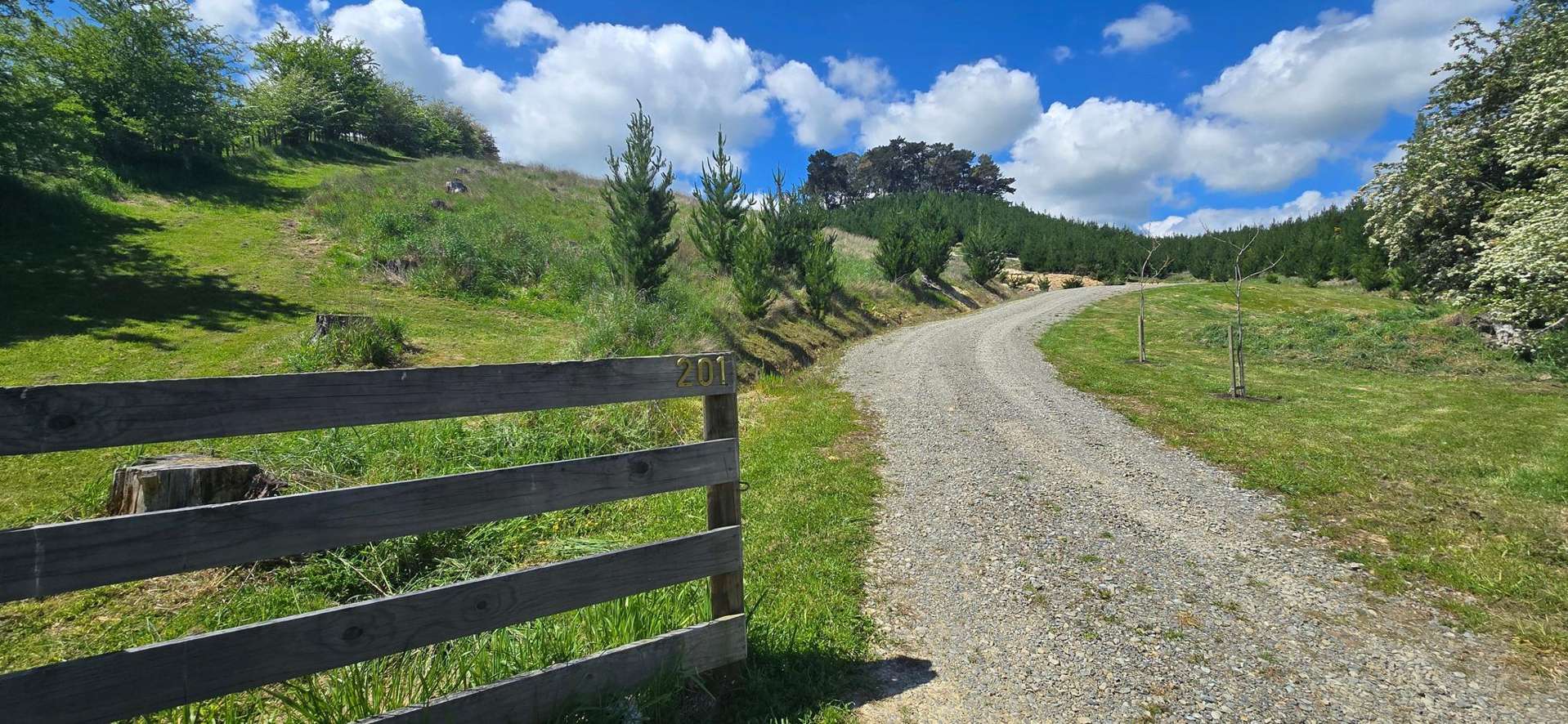 201 Admiral Road Carterton_0