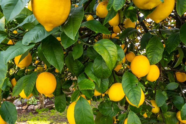 52 Polstead Road Stoke_23