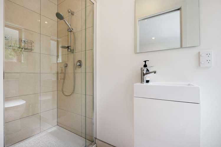 5 Cunliffe Street Johnsonville_7