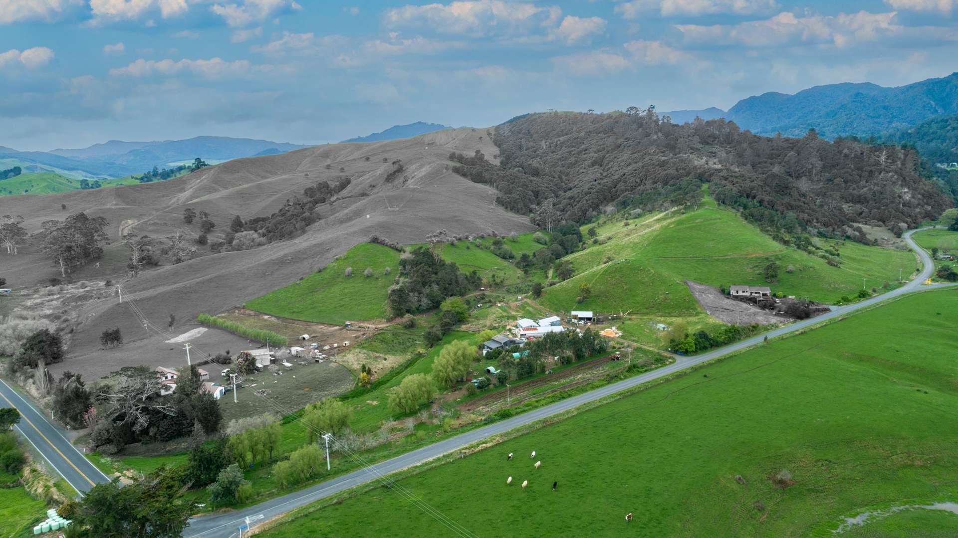 17 Omahu Valley Road Puriri_0