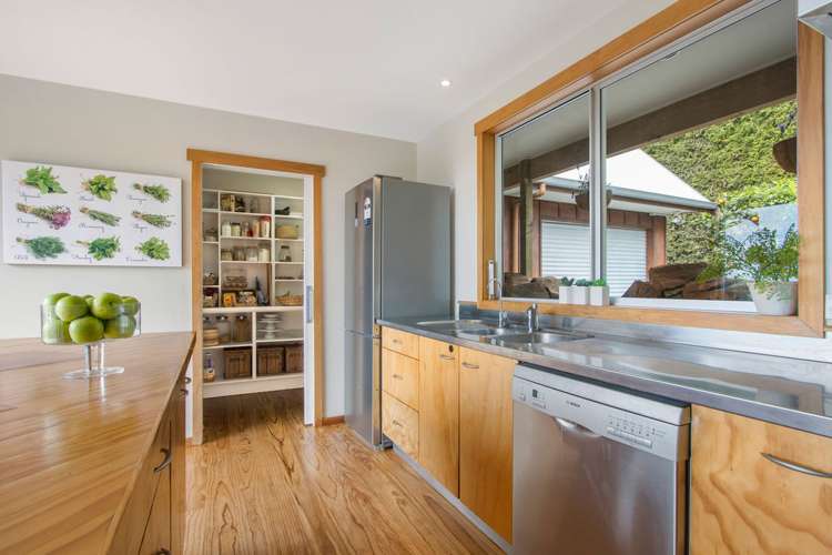 311 Wainui South Road Whakamarama_12