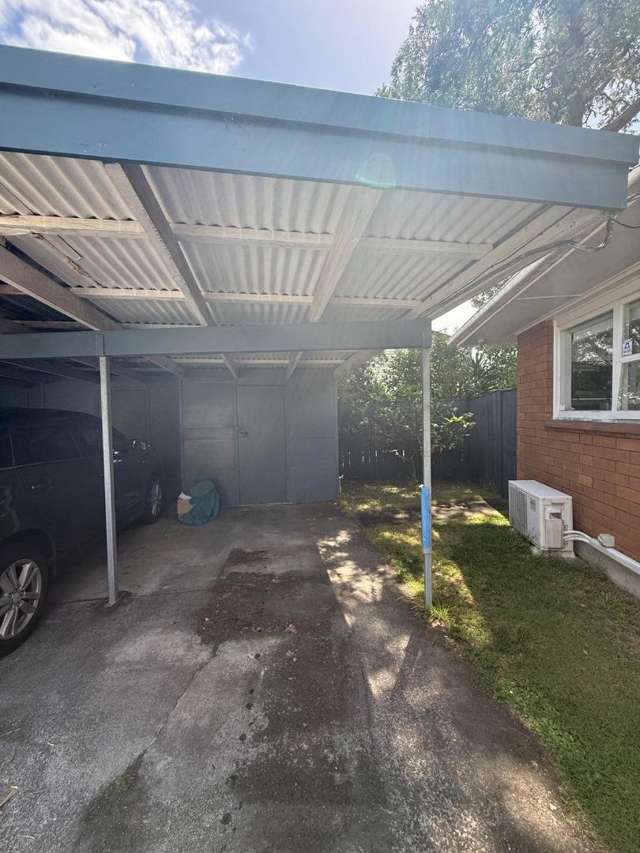 3/13 Hawthorne Place Ellerslie_1