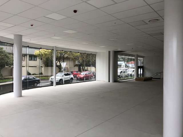 U2 and 3, 2 Connolly Street Lower Hutt_1