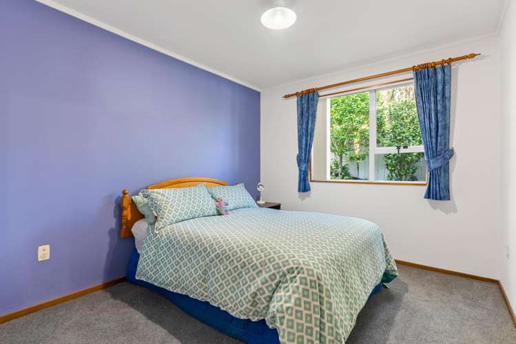 6 Hardy Street Johnsonville_13