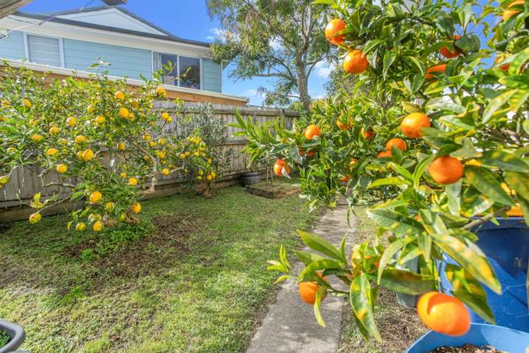 12 Kellett Road Ranui_15