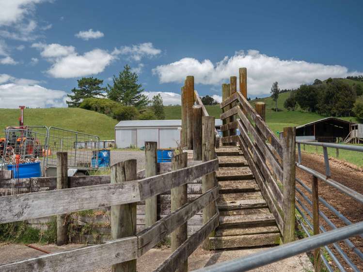 75 Spence Road Waihi_19