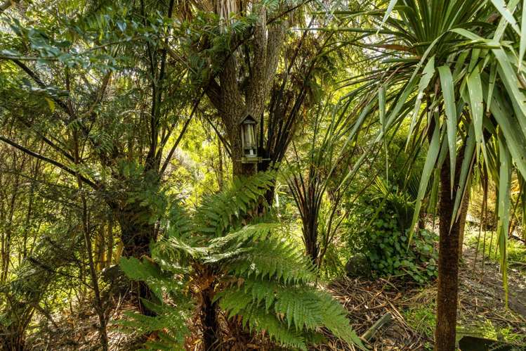 16 Angle Street Picton_20