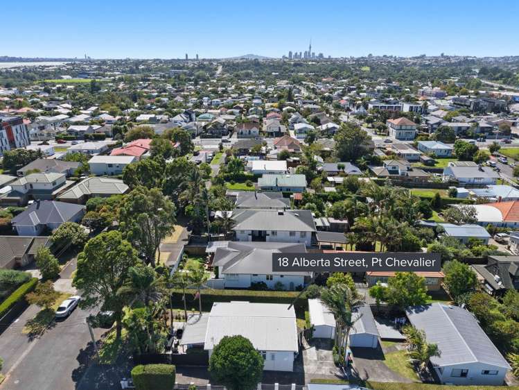 18 Alberta Street Point Chevalier_15