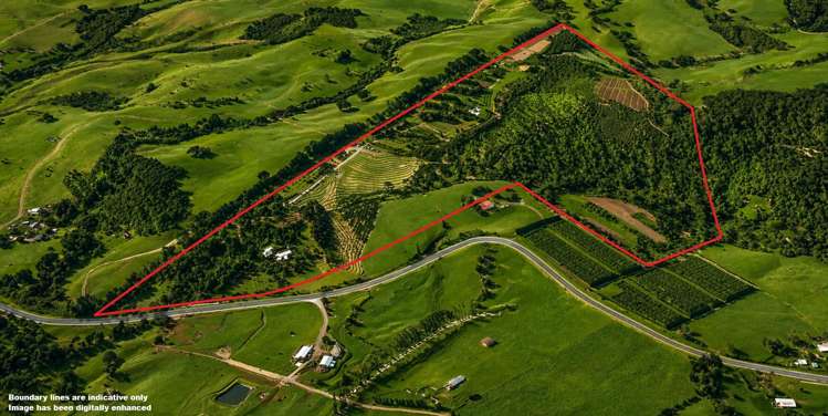 501 Purangi Road Purangi_3