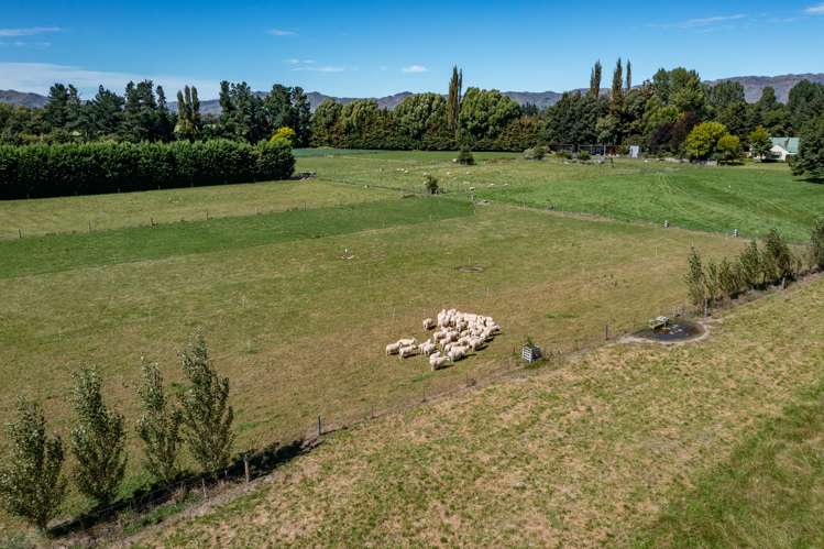 143 Culverden Road Culverden_20