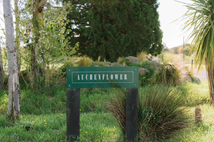 Rowallan Road Darfield_40