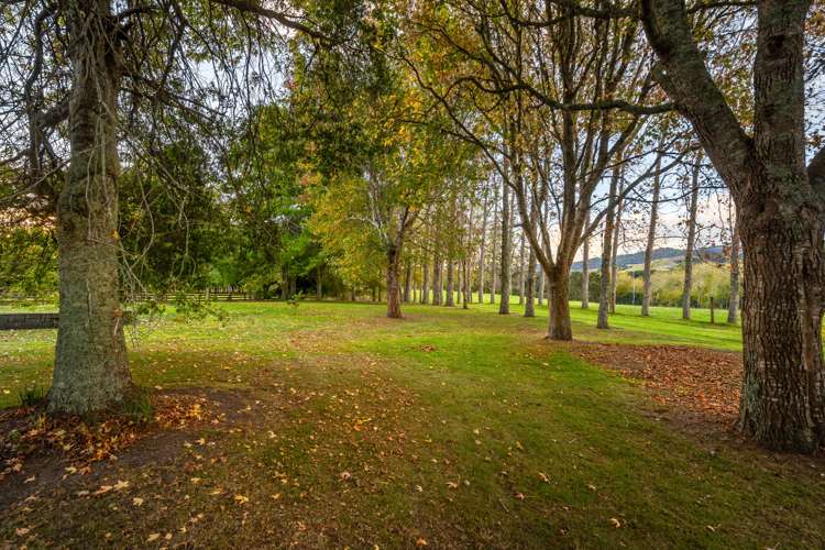 45 Drinnan Road Waitoki_17