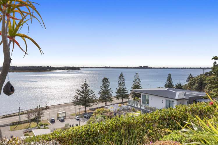 11a Te Awakura Terrace Mount Pleasant_20