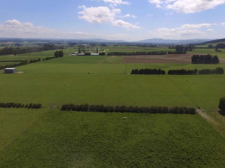 301 Moneymore Road Milton_10