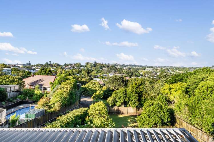 24 Carlton Street Hillsborough_6