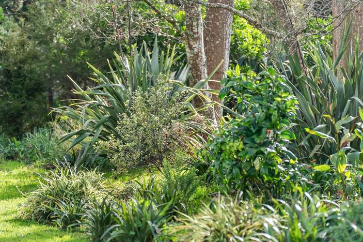 36 Phils Way Mangawhai_24