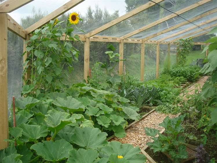 292 Lindemann Road Hauraki Surrounds_16