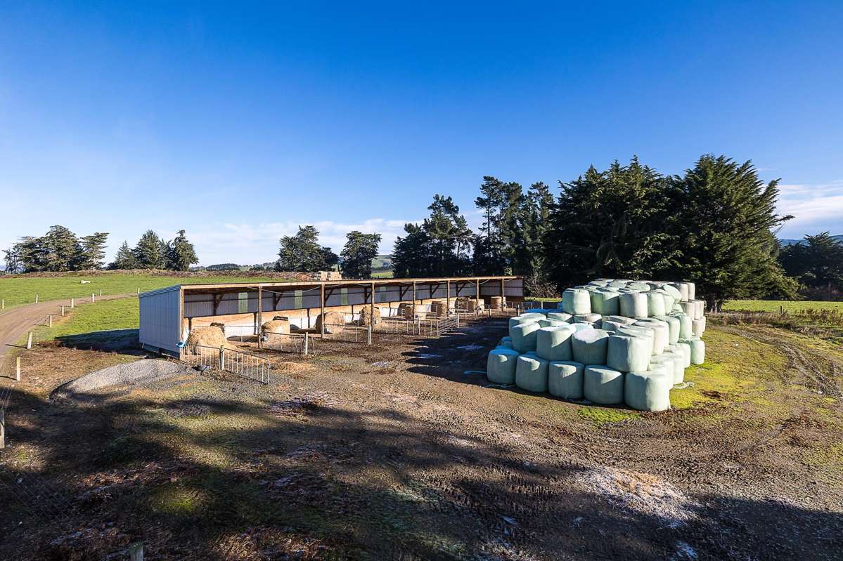 41 Manuka Road, 191 Benny Road, 160 Chapman Road_2