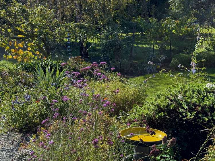 18 Orr Street Duntroon_20