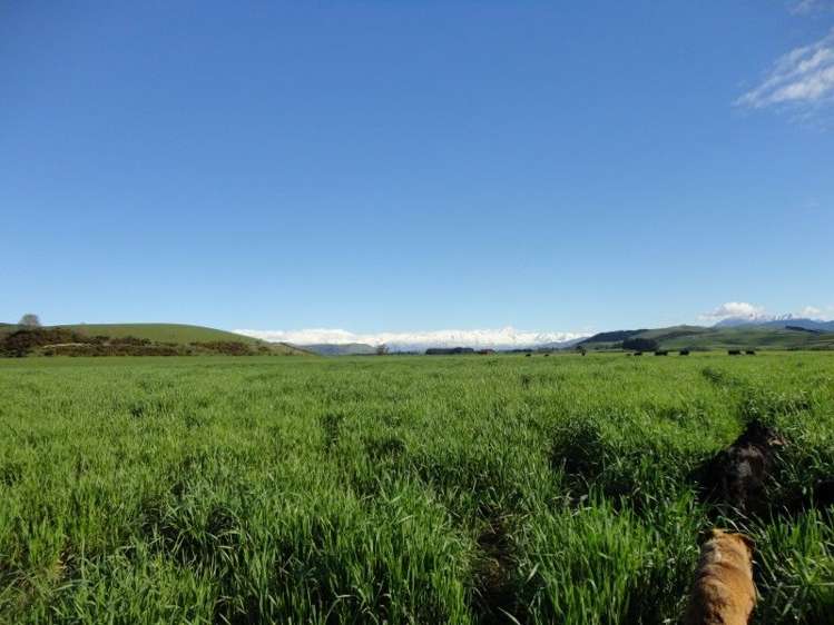 825 Opihi Road Pleasant Point_6