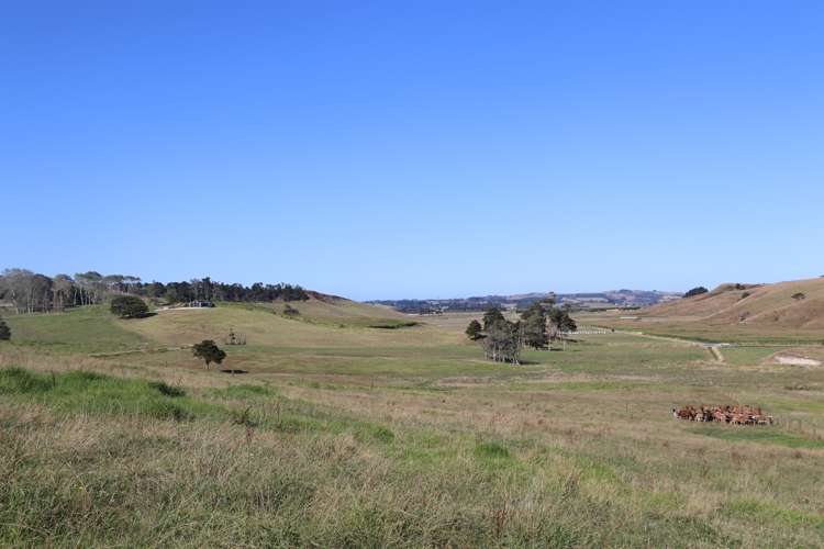 182 Morrison Road Arapohue_11