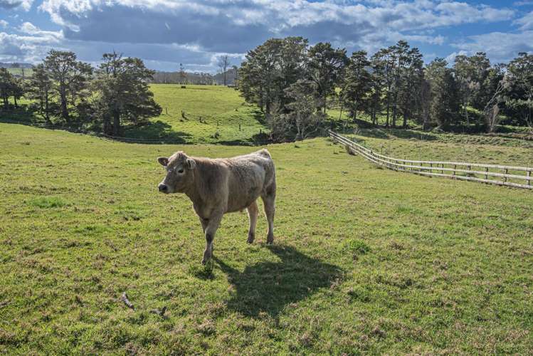 783 Whareora Road Whareora_35