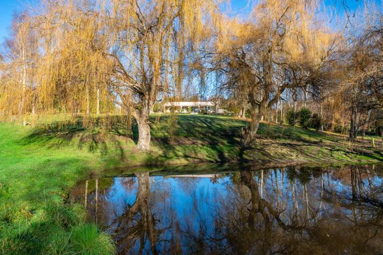 17 Sherratt Road Geraldine Downs_17