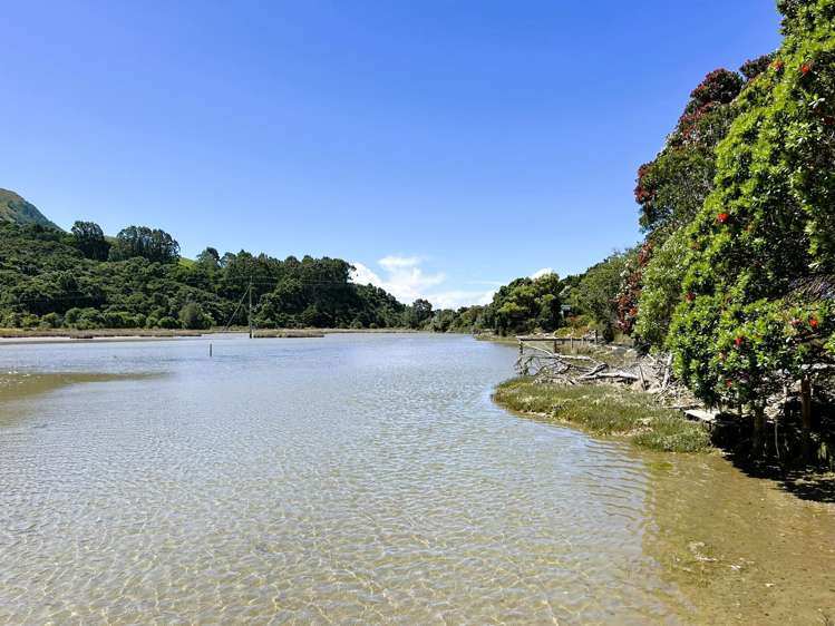 56 Totara Avenue Collingwood_10