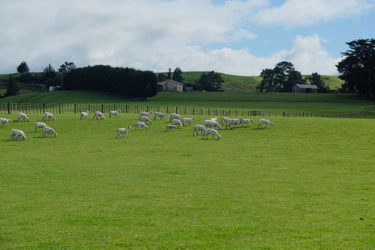 63 Hamilton Road Dannevirke_21