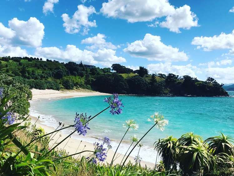 190 Pacific Ocean, Slipper Island (Whakahua)_0