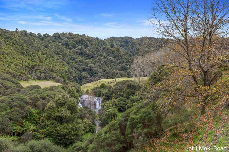 Lot 1 Moki Road, Tahora Taumarunui_20