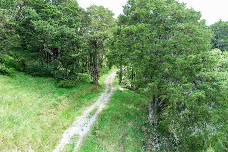 83 Paparoa Station Road Paparoa_6