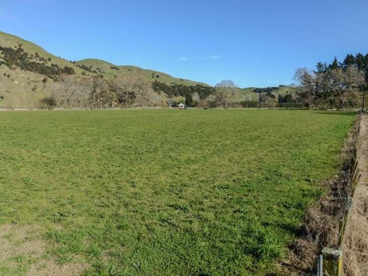 64 Waipunga Road Eskdale_5