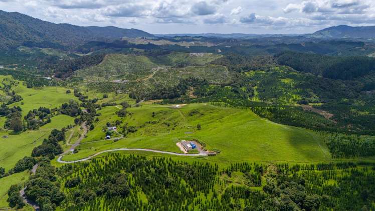 560 Diggers Valley Road Herekino_15