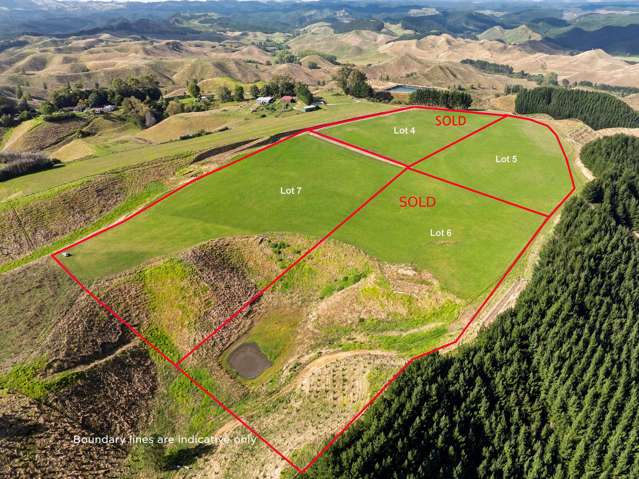 Build your dream here