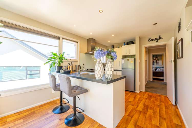 42 Virtue Avenue Maori Hill_7