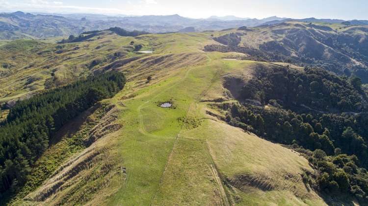 338 Tinui Valley Road Tinui_10