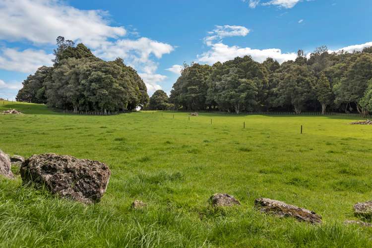 1027 State Highway 14 Maungatapere_15