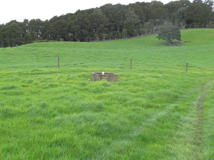 Tremain Road Ruatangata West_13