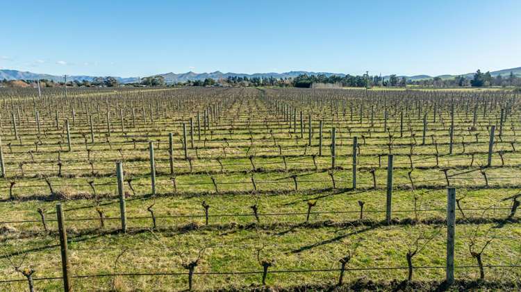 148 Omihi Road Waipara_7