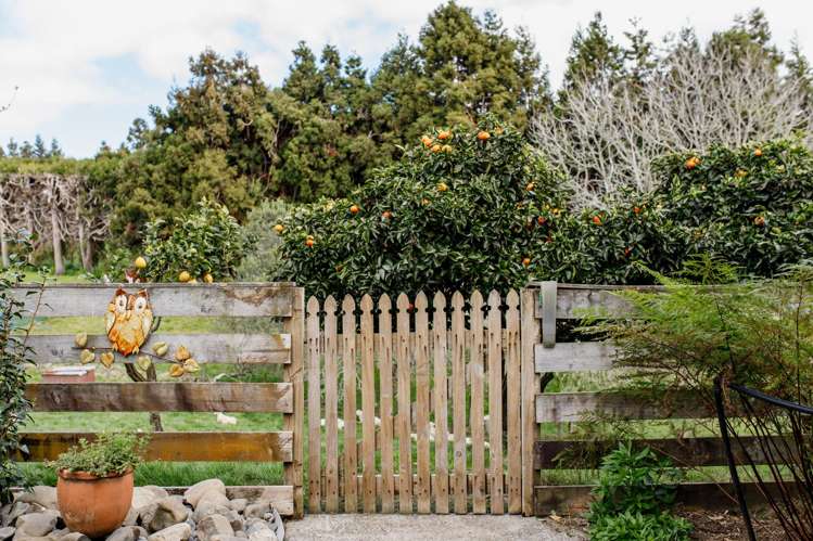286 Paerata Ridge Road Opotiki_45
