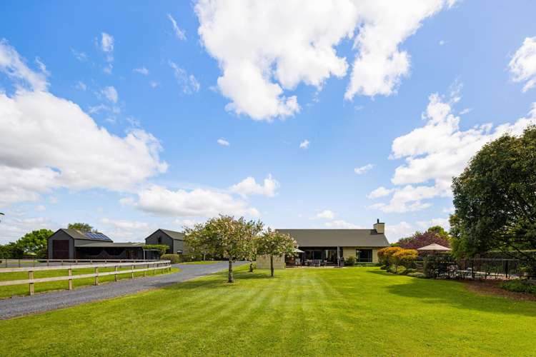 441C Marychurch Road Matangi_35