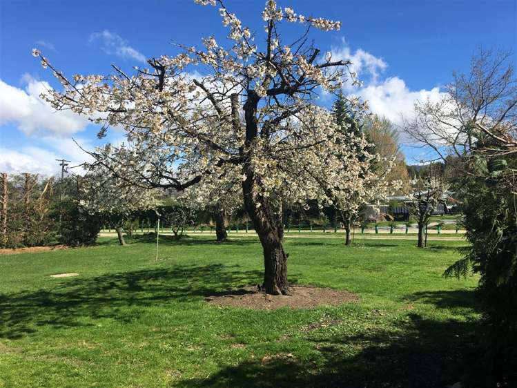 566 Dunstan Road Alexandra_6